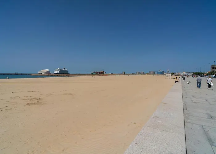 Seaside Cozy 3 Bed In Matosinhos